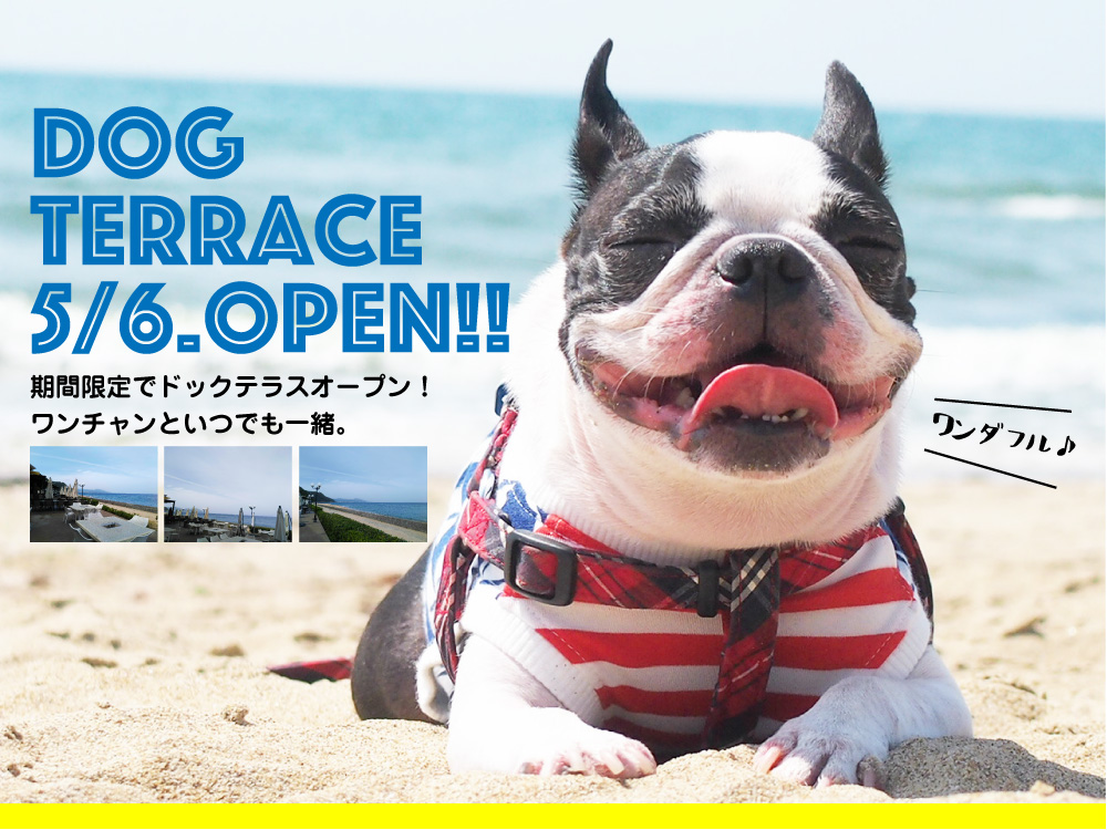 【期間限定】ドッグテラスOPEN☆5月6日START！